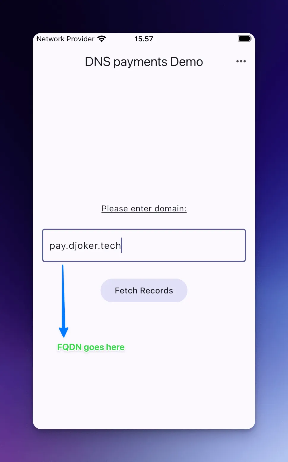 dns lookup